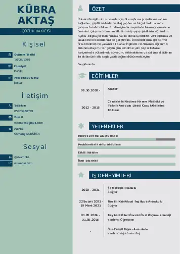 Çocuk Bakıcısı CV Örnekleri cv indir